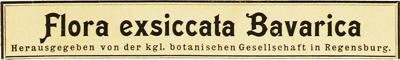 Flora exsiccata Bavarica